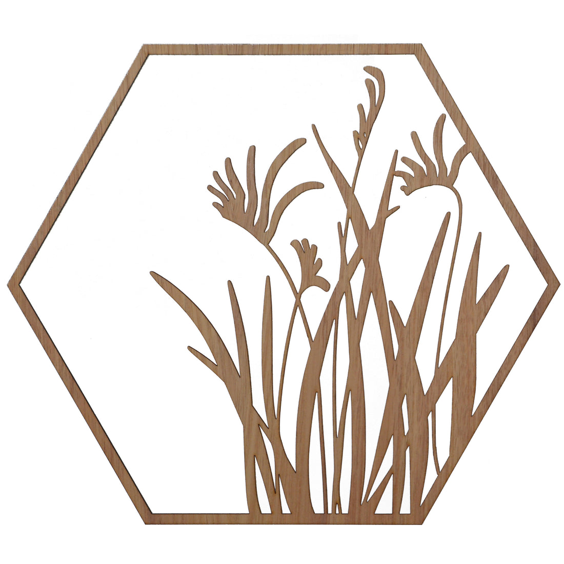 Kangaroo Paw Flowers: Australian Timber Hexagon Wall Art