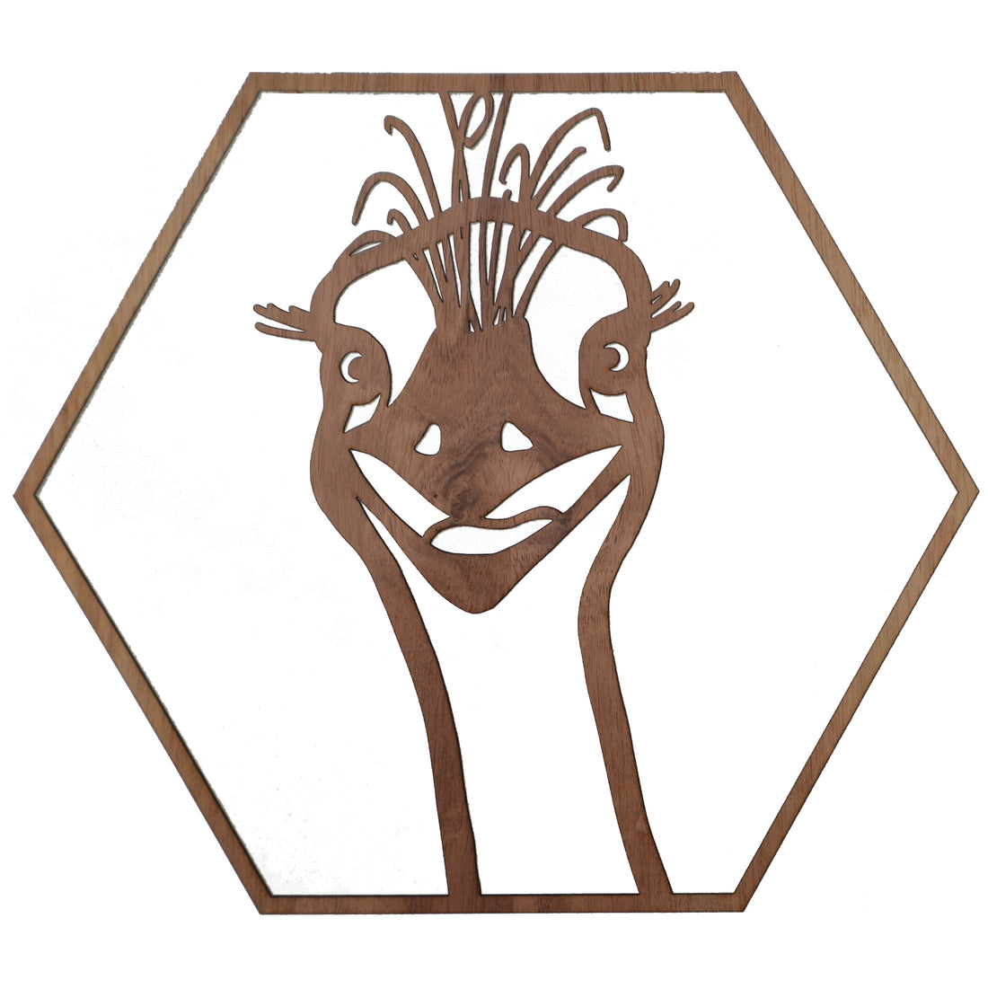 Emu Stare: Australian Timber Hexagon Wall Art