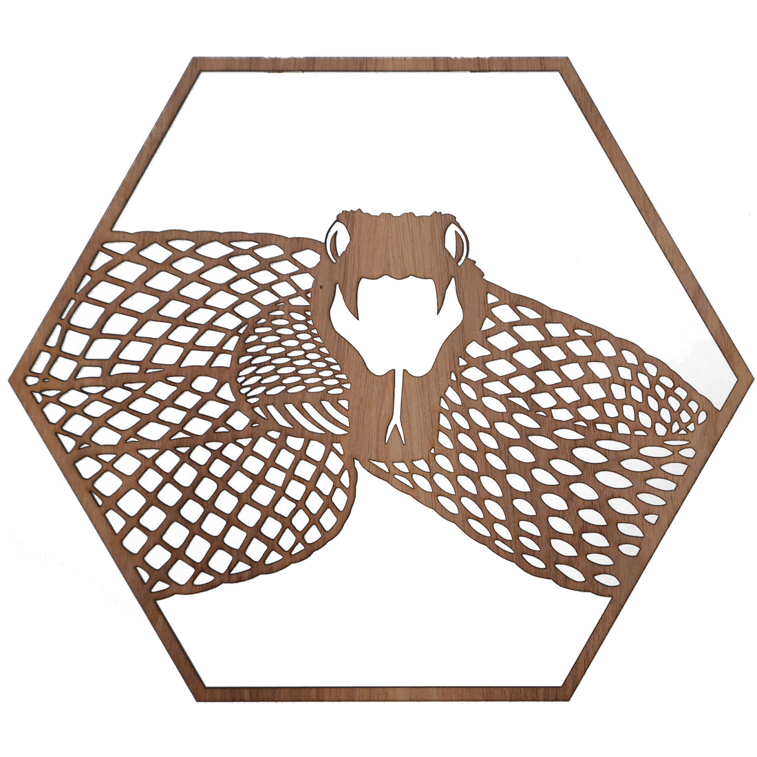 Inland Taipan Snake: Australian Timber Hexagon Wall Art