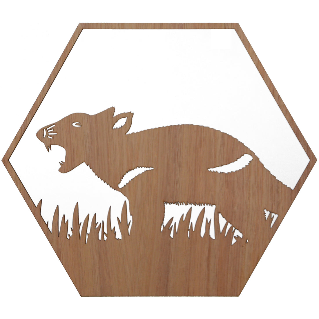 Tasmanian Devil: Australian Timber Hexagon Wall Art